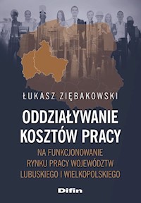 Oddziaływanie kosztów pracy na funkcjonowanie rynku pracy województw lubuskiego i wielkopolskiego - Ziębakowski Łukasz - książka