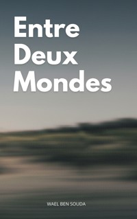 Entre Deux Mondes - Wael Ben Souda - ebook