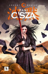 Pani Cisza. Cykl Zapiski stali. Tom 2 - Arkady Saulski - książka