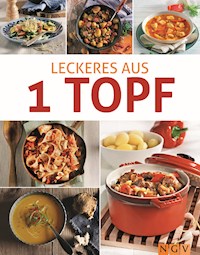 Leckeres aus 1 Topf -  - ebook