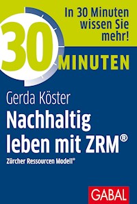 30 Minuten Nachhaltig leben mit ZRM® - Gerda Köster - ebook