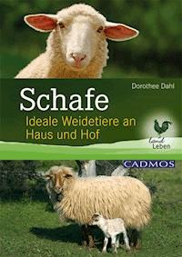 Schafe - Dorothee Dahl - ebook