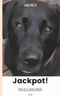 Jackpot! - Sandra Meijer - ebook