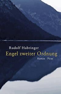 Engel zweiter Ordnung - Rudolf Habringer - ebook