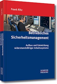 Betriebliches Sicherheitsmanagement - Frank Ritz - ebook