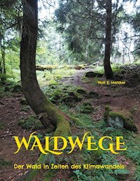 Waldwege - Wolf E. Matzker - ebook