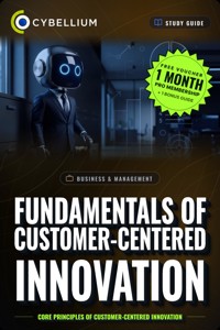 The Fundamentals of Customer-Centered Innovation - Cybellium - ebook