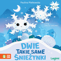 Dwie takie same śnieżynki - Płatkowska Paulina - audiobook + książka