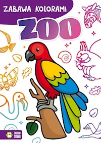 Zabawa kolorami ZOO -  - książka