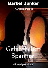 Gefährlicher Spanner - Bärbel Junker - ebook