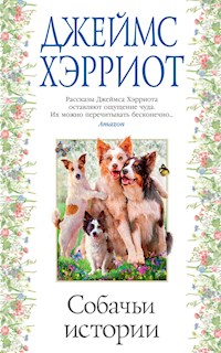 Собачьи истории - Джеймс Хэрриот - ebook