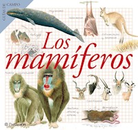 Los mamíferos - Maria Àngels Julivert - ebook