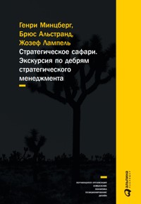 Стратегическое сафари: Экскурсия по дебрям стратегического менеджмента - Брюс Альстранд - ebook