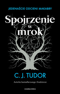 Spojrzenie w mrok. Jedenaście odcieni makabry - C. J. Tudor - ebook + audiobook + książka
