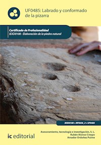 Labrado y conformado de la pizarra. IEXD0108 - Amador Ordoñez Puime - ebook