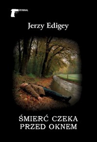 Śmierć czeka przed oknem - Jerzy Edigey - książka