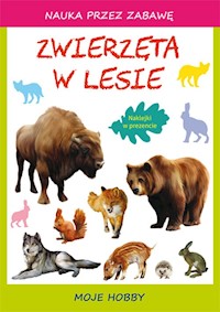 Zwierzęta w lesie - Beata Guzowska - książka