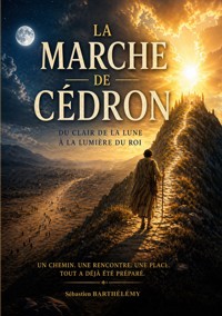 La marche de Cédron - Sébastien Barthelemy - ebook