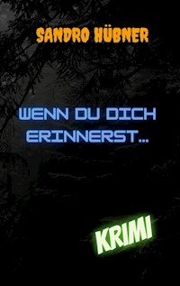 Wenn du dich erinnerst... - Sandro Hübner - ebook