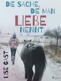 Die Sache, die man Liebe nennt - lise  gast  - ebook