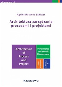 Architektura zarządzania procesami i projektami - Szpitter Agnieszka Anna - książka