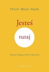 Jesteś tutaj - Hanh Thich Nhat - książka