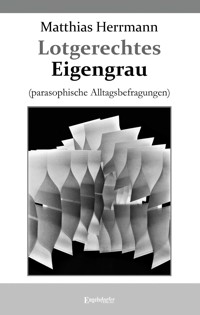 Lotgerechtes Eigengrau - Matthias Herrmann - ebook