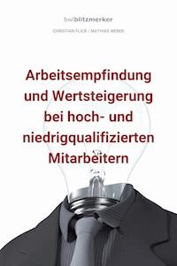 bwlBlitzmerker: Arbeitsempfindung und Wertsteigerung bei hoch- und niedrigqualifiz. Mitarbeitern - Christian Flick - ebook