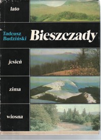 Bieszczady - Budziński Tadeusz - ebook