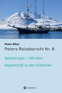 Peters Reisebericht Nr. 6 - Peter Alles - ebook