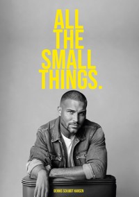 All the Small Things - Dennis Schjødt Hansen - ebook