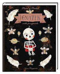 Ignatek szuka przyjaciela - Pawlak Paweł - książka