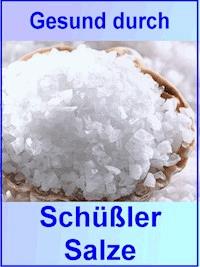 Gesund durch Schüßler Salze - Anne Graves - ebook