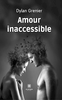 Amour inaccessible - Dylan Grenier - ebook