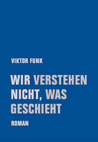 Wir verstehen nicht, was geschieht - Viktor Funk - ebook