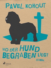Wo der Hund begraben liegt - Kohout Pavel - ebook