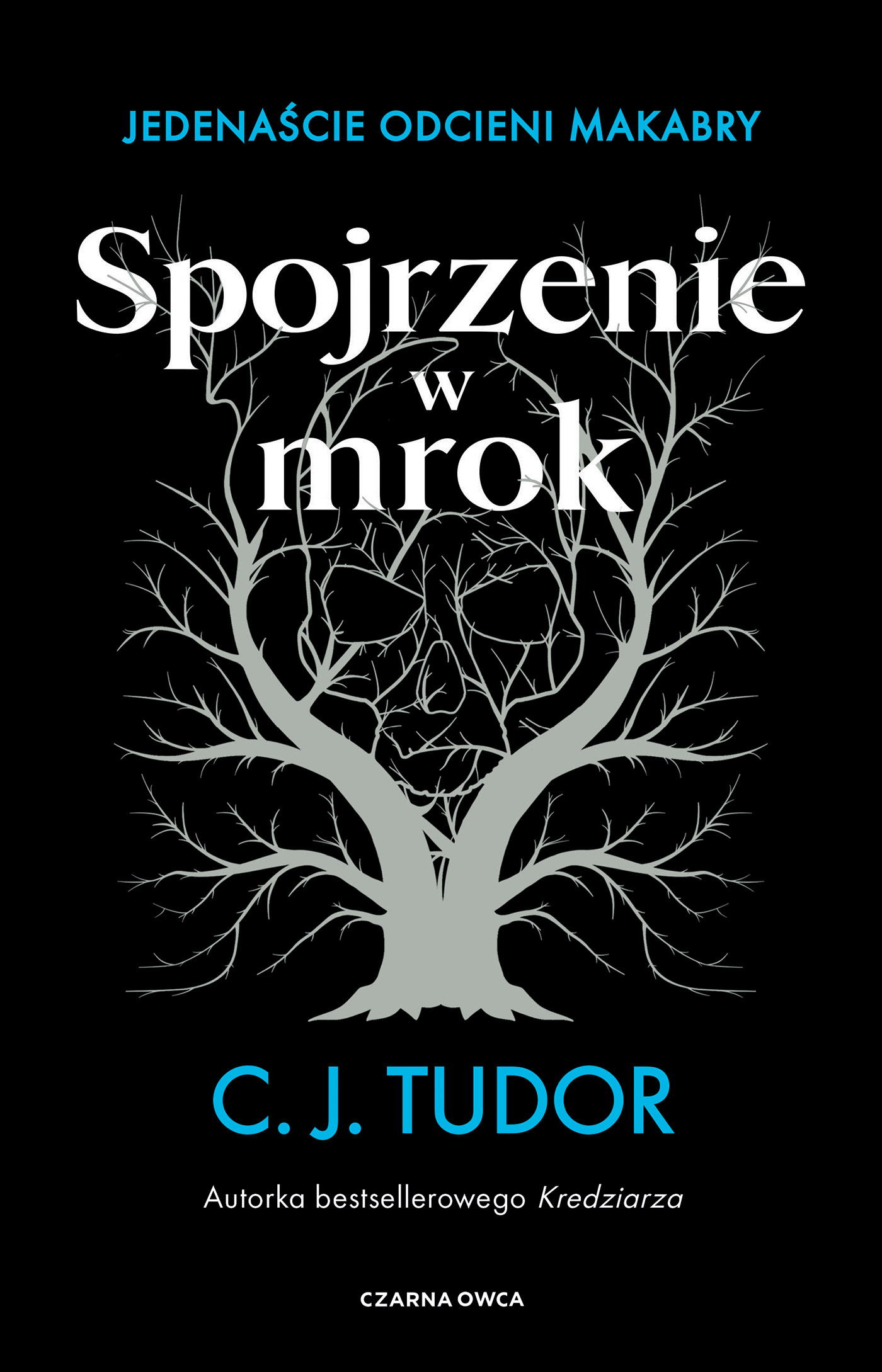 Spojrzenie w mrok. Jedenaście odcieni makabry