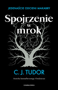 Spojrzenie w mrok. Jedenaście odcieni makabry - C. J. Tudor - ebook + audiobook