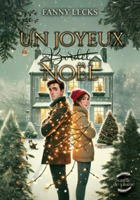 Un joyeux (bordel) Noël - Fanny Lecks - ebook