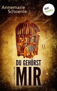 Du gehörst mir - Annemarie Schoenle - ebook