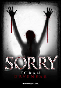 Sorry - Drvenkar Zoran - książka