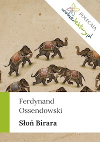 Słoń Birara - Ferdynanda Ossendowski - ebook