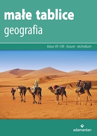 Małe tablice Geografia 2019 -  - książka