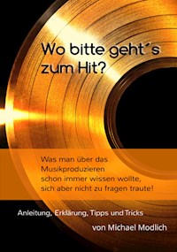 Wo bitte geht´s zum Hit? Was man schon immer über das Musik produzieren wissen wollte, sich aber nicht zu fragen traute! - Michael Modlich - ebook