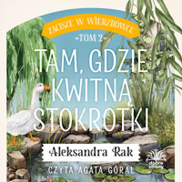 Zacisze w Wierzbówce. T. 2. Tam, gdzie kwitną stokrotki - Aleksandra Rak - ebook + audiobook