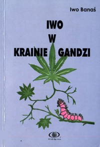 Iwo w Krainie Gandzi - Banaś Iwo - ebook