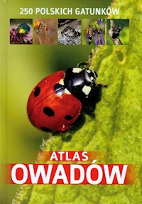 Atlas owadów - Twardowski Jacek, Twardowska Kamila - książka