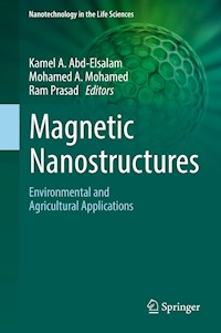 Magnetic Nanostructures -  - ebook