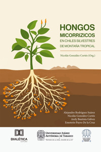 Hongos Micorrizicos en Chiles Silvestres de Montaña Tropical - Alejandro Rodríguez Suárez - ebook