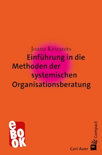Einführung in die Methoden der systemischen Organisationsberatung - Joana Krizanits - ebook